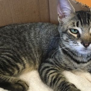 Meet your Posher, Kate